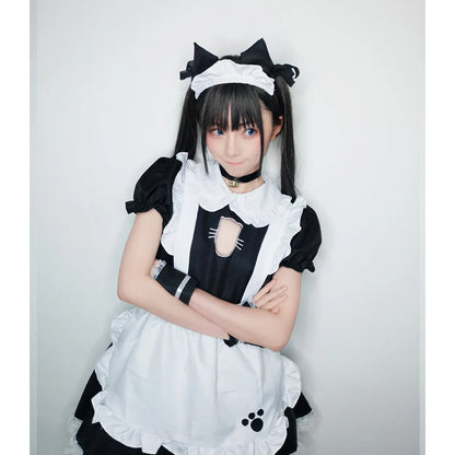 Cute Cat Maid Outfit